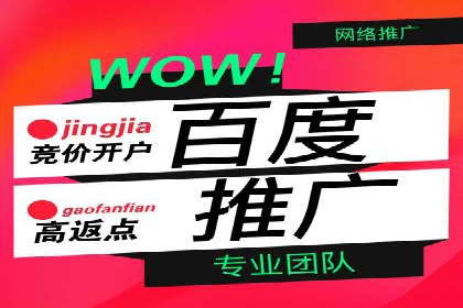 SEM推广优化实战：案例分析与启示