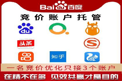百度竞价代理的客户案例：如何实现ROI最大化